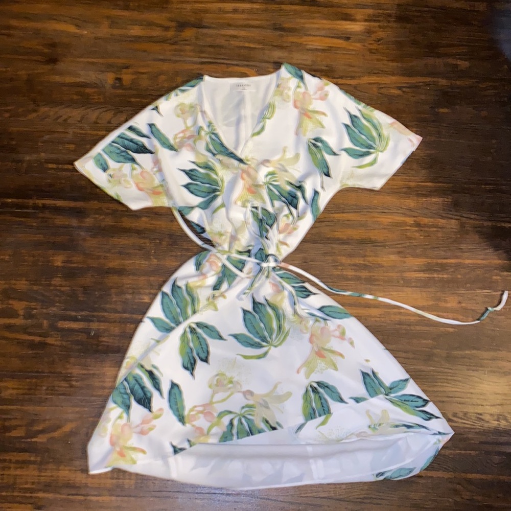 Aritzia- Babaton Wallace dress